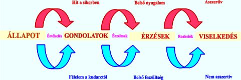 Asszertivits s asszertv magatarts: Emberi viselkedsi sma