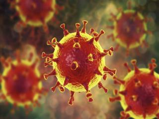 A koronavírus szembesít